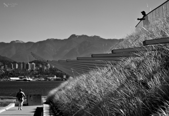 black and white view of Vancouver